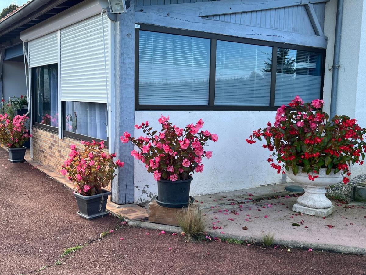 La Ligonne Bed & Breakfast Marillac Dış mekan fotoğraf